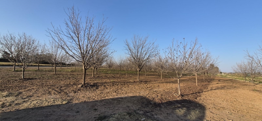 Commercial Property for Sale in Douglas Northern Cape